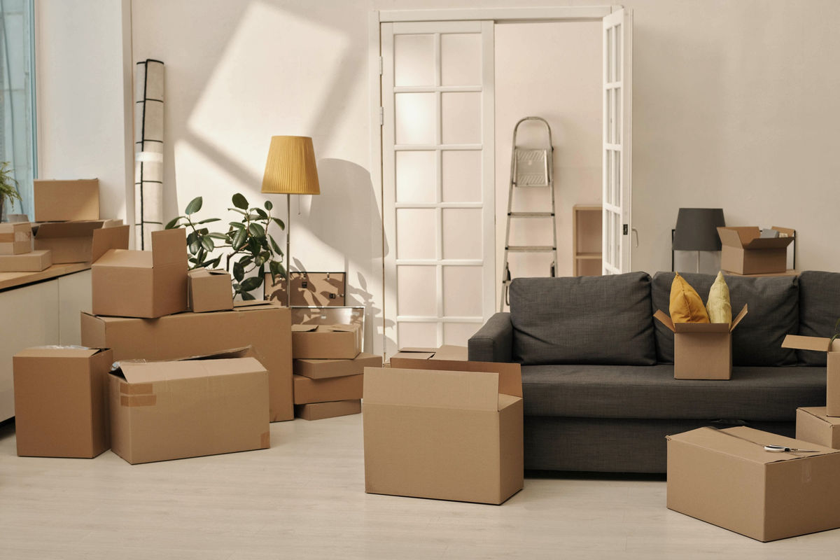 Packing & Dispatch