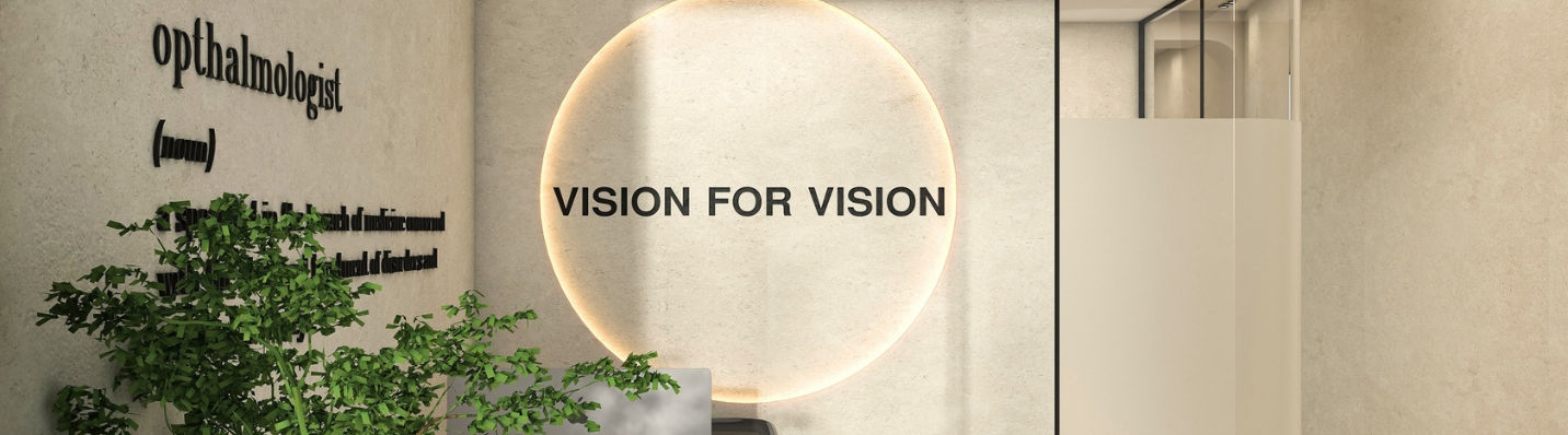The Vision Lab